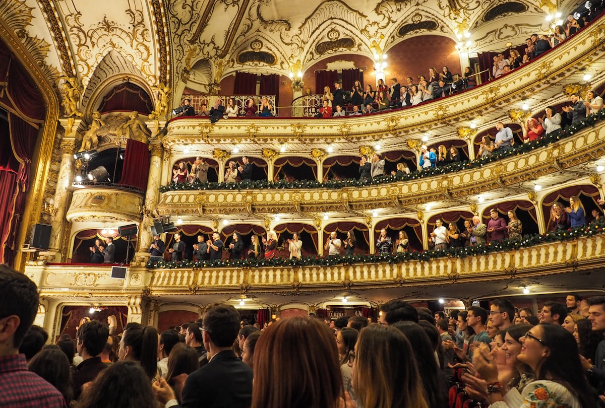 Performing arts audience